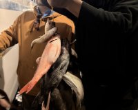 IMG_0928